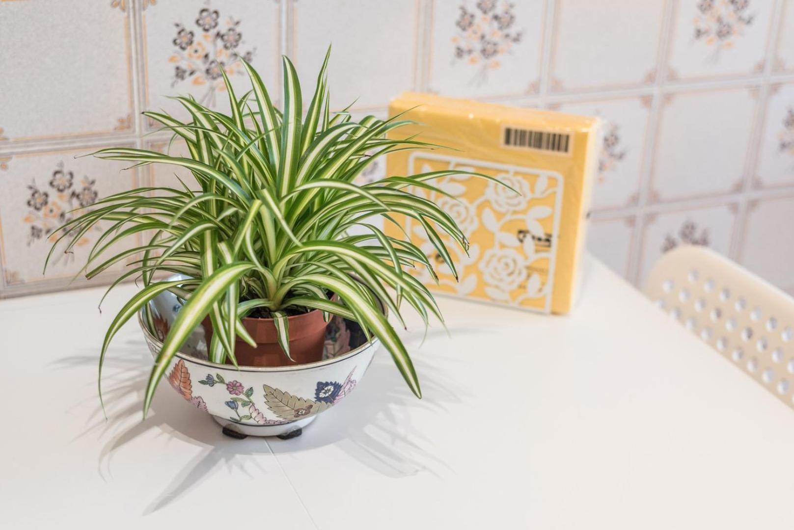 Ferienwohnung Guestready - Eclectic Haven In The Heart Of Porto Exterior foto